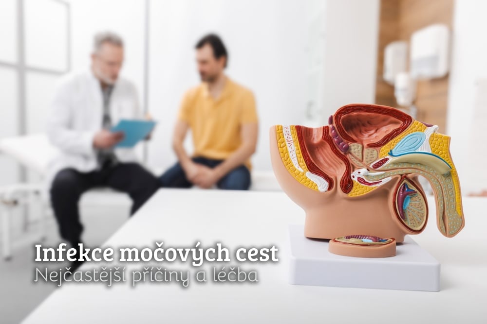 Infekce močových cest